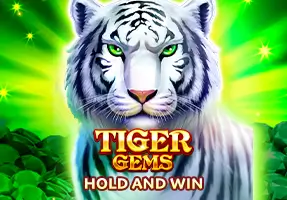 www-22fun Online Casino Slot Game BNG Tiger